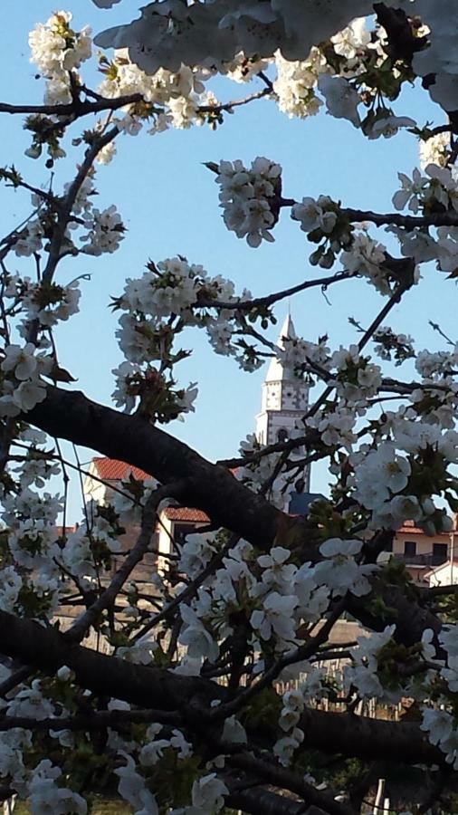 Moonflower Pliskovica ภายนอก รูปภาพ